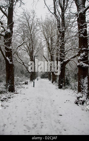 London, UK, Sonntag, 20. Januar 2013. Eine winterliche Pfad in Barnes, London.  2013 steigt aus, um einen Kaltstart als eiskalten Wetter Treffer das Vereinigte Königreich.  Am Wochenende vom 19. Januar fiel über 10 Zoll Schnee in einigen Gebieten des Vereinigten Königreichs mit mehr fallen am Sonntag und vieles mehr in der kommenden Woche erwartet. Stockfoto