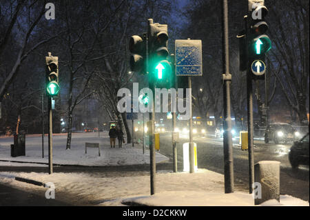 Turnpike Lane, London, UK. 20. Januar 2013. Schnee fällt in Turnpike Lane. Schnee fällt im Zentrum von London. Alamy Live-Nachrichten Stockfoto