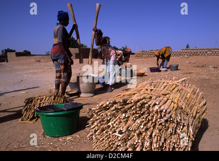 Frauen schlagen und zerkleinern die Hirse auf dem Plateau der Dogon in Mali Westafrika. Stockfoto