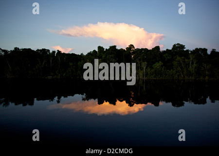 Sonnenuntergang im Amazonas-Regenwald mit dramatischen Wolkenspiegeln auf ruhigen Gewässern, die die heitere tropische Schönheit des Amazonas zeigen Stockfoto