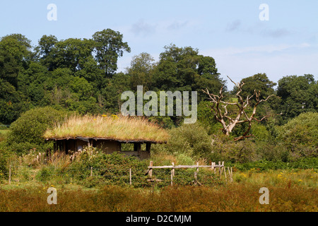 Eine Vogel verstecken an der Teifi Sümpfen Nature reserve, Welsh Wildlife Centre, Cilgerran, Pembrokeshire, Wales, UK Stockfoto