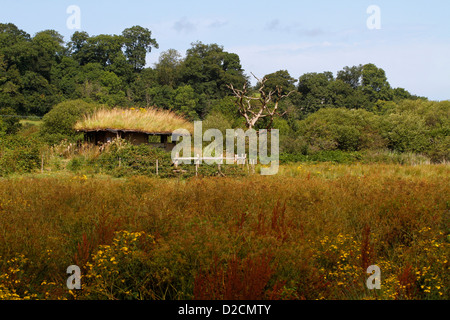 Eine Vogel verstecken an der Teifi Sümpfen Nature reserve, Welsh Wildlife Centre, Cilgerran, Pembrokeshire, Wales, UK Stockfoto