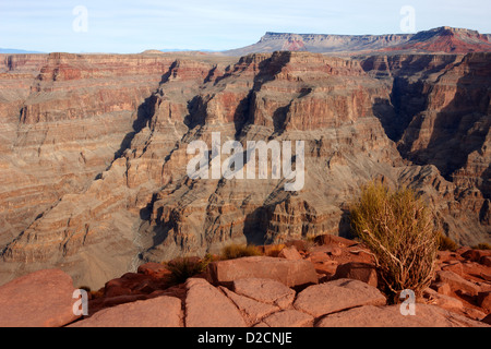 Blick auf den Grand Canyon aus Guano Point Grand Canyon West Arizona usa Stockfoto