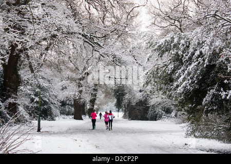 Schnee in Southampton Common Stockfoto