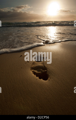 Ein Satz von menschlichen Spuren in den nassen Sand an einem einsamen Strand in den frühen Morgenstunden, mit Wellen im Hintergrund. Stockfoto
