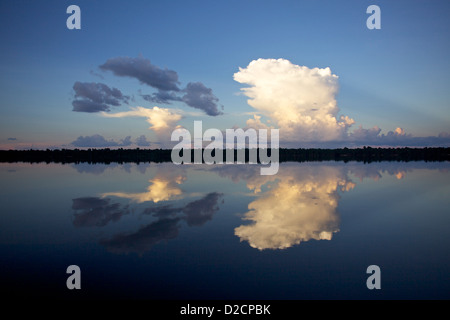 Sturm Wolken über dem Amazonas Stockfoto