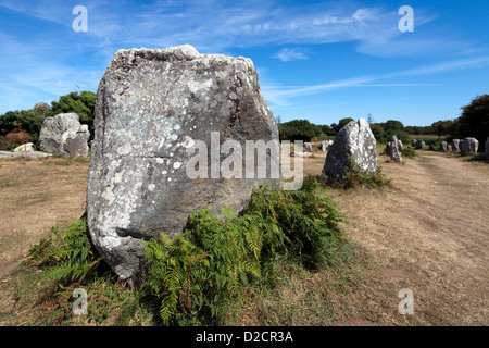 Erdeven, Frankreich, Ausrichtungen des Kezerho Stockfoto