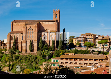 Basilica di San Domenico, Siena Stockfoto