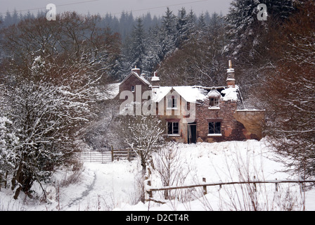 Eine zerstörte Hütte in den Griff eines schneereichen Winters bei Blaize Bailey in Wald des Dekans, Gloucestershire, UK Stockfoto