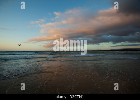 Tagesanbruch auf Green Island auf der NSW South Coast, Australien. Stockfoto