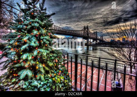 Ed Koch Queensboro Bridge, auch bekannt als die 59th Street Bridge mit Weihnachtsbaum Stockfoto