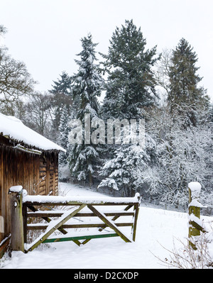 Eine fünf-Bar gate im Schnee, öffnet sich ein Feld Stockfoto