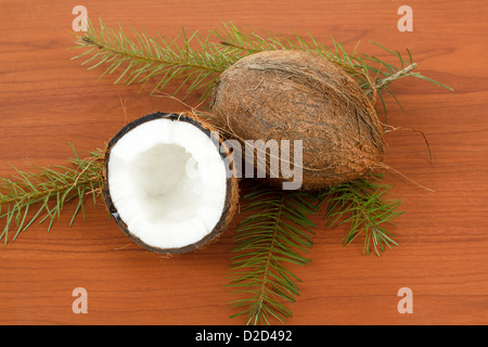 Kokosnuss auf einem hölzernen Hintergrund mit Kiefer-Zweig Stockfoto