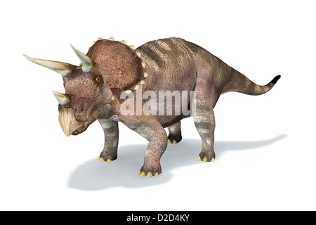 Triceratops Dinosaurier Computer Grafik, die dieser pflanzenfressenden Dinosaurier in der Kreidezeit lebte Stockfoto