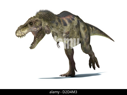 Computer Grafik Tyrannosaurus Rex Dinosaurier jagen Ornithomimus Dinosaurier T Rex unter den ...