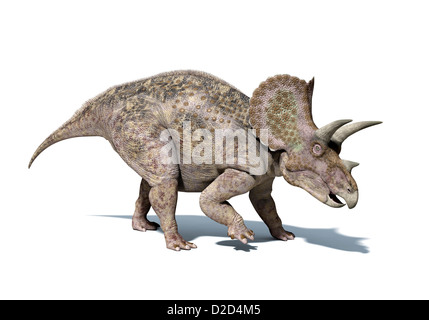 Triceratops Dinosaurier Computer Grafik, die dieser pflanzenfressenden Dinosaurier in der Kreidezeit lebte Stockfoto