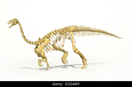 Plateosaurus Dinosaurier Skelett pflanzenfressenden Dinosaurier Bergsystem Phase der späten Trias Stockfoto