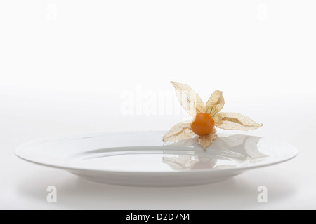 Physalis-Frucht (Kap-Stachelbeere) auf Teller Stockfoto