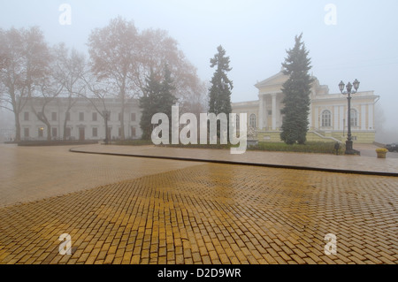 Blick auf den Odessa archäologische Museum in einem Nebel, der Ukraine, Europa Stockfoto