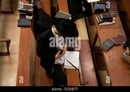 Jüdischen Mann, hält Tefillin in Synagoge Stockfoto