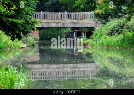 Eine schmale Boot auf dem britischen Basingstoke Canal Stockfoto