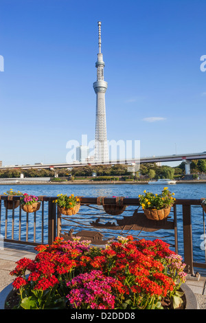 Japan, Honshu, Kanto, Tokio, Asakusa, Skytree Turm und Sumidagawa River Stockfoto