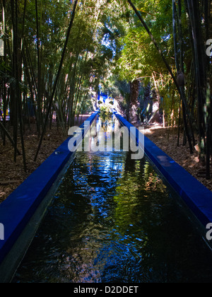 Sonnenlicht, Schatten und Reflexionen in die Pools im Jardin Majorelle, Marrakesch, Marokko Januar 2013 Foto © Julia Claxton Stockfoto