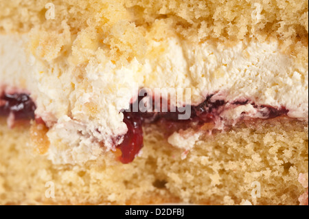 Klassische Victoria Sandwich traditionelle hausgemachte Kuchen mit Sahne und Marmelade gefüllt Stockfoto