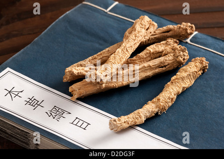 Traditionelle chinesische Medizin Codonopsis Pilosula mit dem alten chinesischen medizinischen Buch Stockfoto