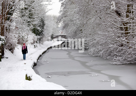 Eine Frau zu Fuß entlang einem gefrorenen Coventry Kanal in Atherstone, North Warwickshire. Stockfoto