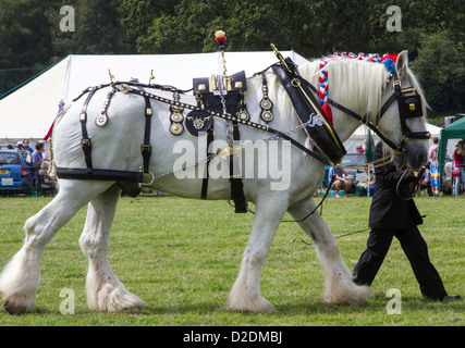 Ein Teilnehmer in der schweren Pferd Kabelbaum Klasse in Ellingham Land zeigen, August 2012 Stockfoto