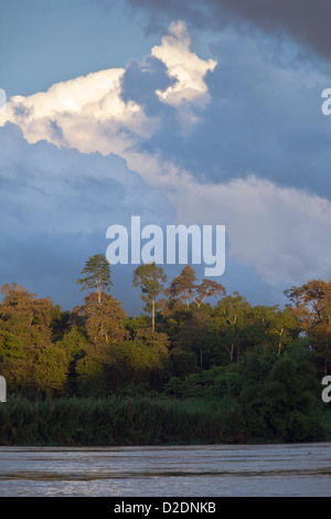 Malaysia, Borneo, Sabah State, Kinabatangan Fluss Stockfoto
