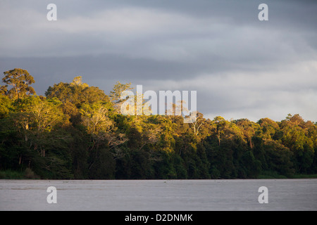Malaysia, Borneo, Sabah State, Kinabatangan Fluss Stockfoto