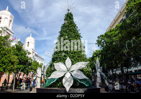 Old San Juan dekorierten Weihnachtsbaum mit weißen Poinciana Plaza de Armas, Puerto Rico Stockfoto