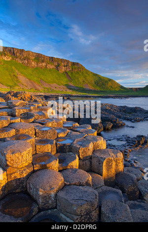 Abendlicht auf dem Giant es Causeway, County Antrim, Nordirland. Stockfoto