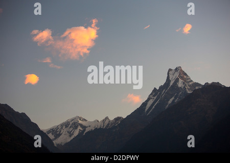 Sonnenuntergang über Machapuchare im Annapurna Heiligtum, Nepelese Himalaya. Stockfoto