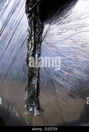 Strohballen in schwarzen Plastiktüten eingewickelt Stockfoto