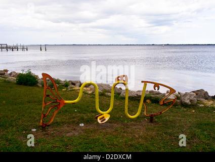 Fisch-Heck-Fahrradträger in der Indian River Lagune in Florida Stockfoto