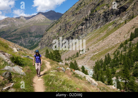 Wanderer im Nationalpark Gran Paradiso, Aosta-Tal, Walliser Alpen, Vallone di Valelle, Italien. Juli. Stockfoto