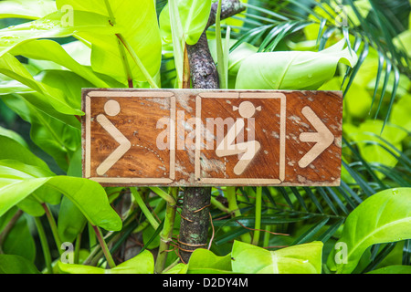 Ungewöhnliche grafische WC Schild am Elephant Hills Rainforest Camp, Khao Sok Nationalpark, Thailand Stockfoto