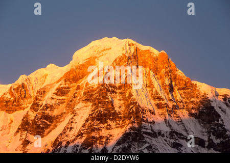 Alpenglühen bei Sonnenaufgang am Annapurna South, Nepelese Himalaya. Stockfoto