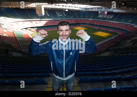 WALISER Boxer im Millennium Stadium in Cardiff, UK. Stockfoto