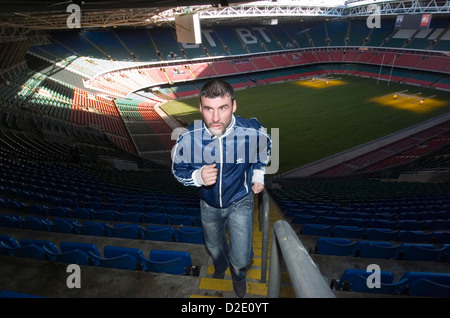 WALISER Boxer im Millennium Stadium in Cardiff, UK. Stockfoto