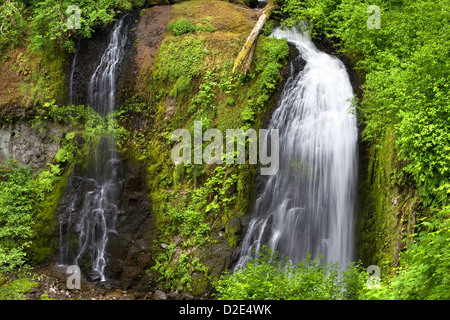 Upper McCloud Creek Falls in der Columbia River Gorge National Scenic Area, Oregon. Stockfoto