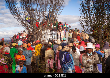 Madagaskar, Antsirabe, Famadihana "Drehen der Knochen" Betsileo Zeremonie, Familie versammelt, um reden zu hören Stockfoto