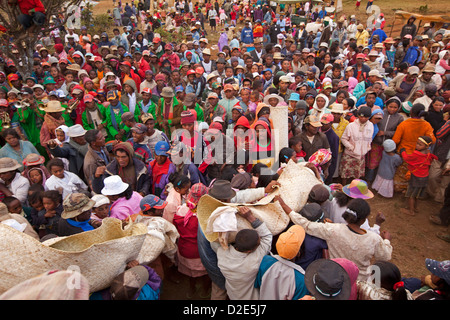 Madagaskar, Betsileo Famadihana Zeremonie, "Drehen der Knochen" Leichen aus Grab durchgeführt Stockfoto
