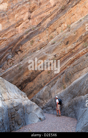 Ein Wanderer untersucht Fall Canyon in Death Valley Nationalpark, Kalifornien. Stockfoto