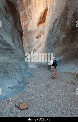 Ein Wanderer untersucht Fall Canyon in Death Valley Nationalpark, Kalifornien. Stockfoto