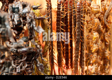 Verschiedene gekochte Insekten Thread am Spieß Stockfoto