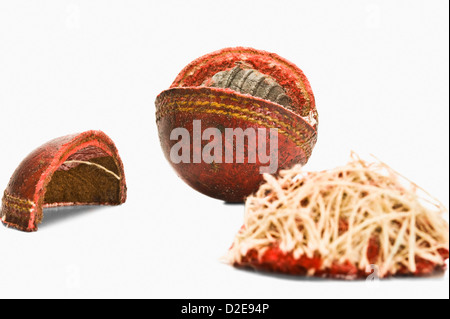 Nahaufnahme einer abgenutzten Grille Kugel Stockfoto